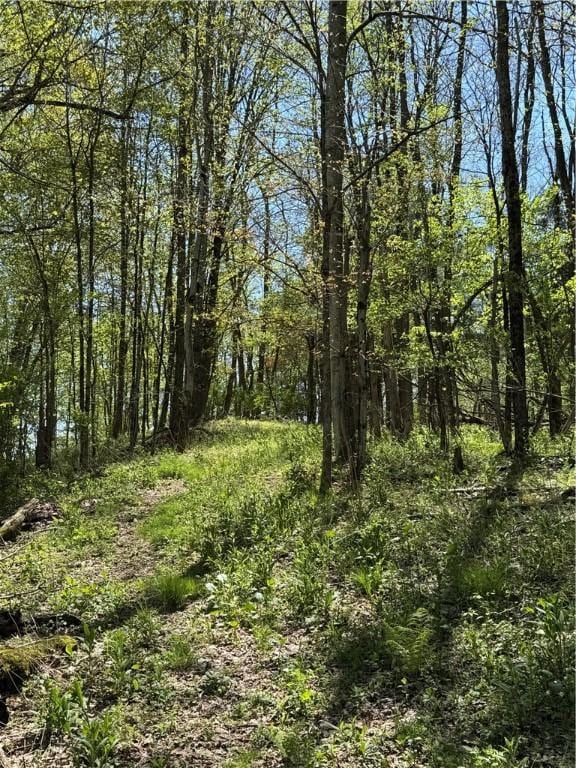 2395 State Highway 205, Laurens, NY 13810 - view of undeveloped land