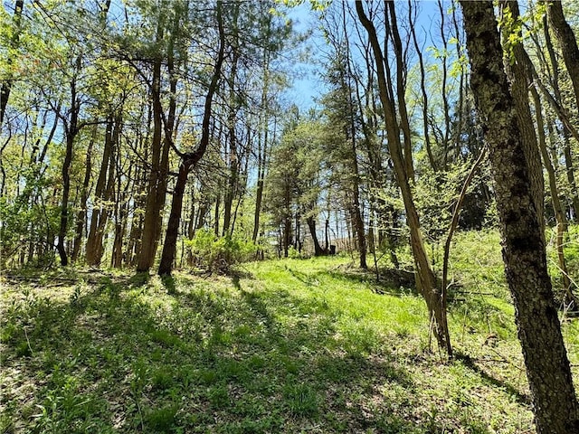 2395 State Highway 205, Laurens, NY 13810 - view of tree filled area