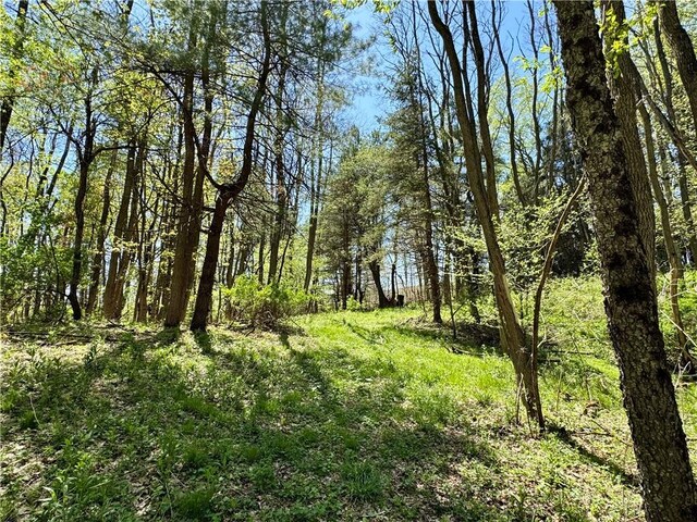 2395 State Highway 205, Laurens, NY 13810 - view of woods