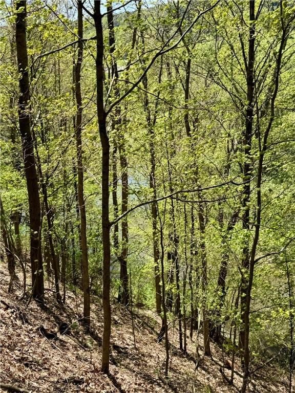 2395 State Highway 205, Laurens, NY 13810 - view of wooded area