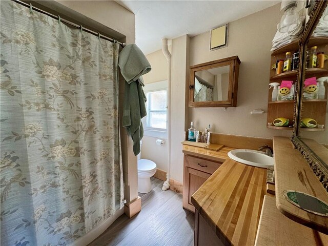 2395 State Highway 205, Laurens, NY 13810 - full bathroom featuring wood finished floors, toilet, vanity, and a shower with shower curtain