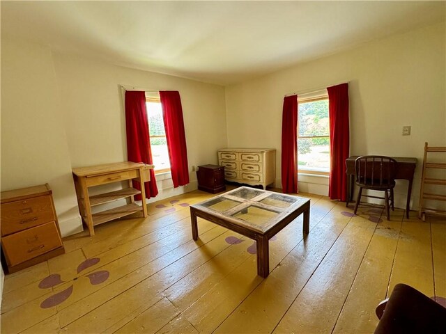 2395 State Highway 205, Laurens, NY 13810 - living room featuring wood-type flooring