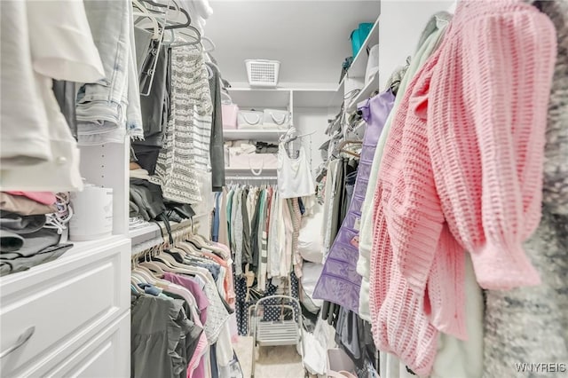 6811 Rivera Way, Clarence, NY 14051 - view of walk in closet