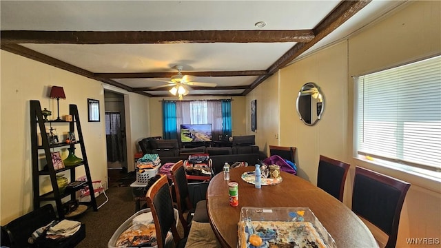 242 Ideal St, Buffalo, NY 14206 - photo 11