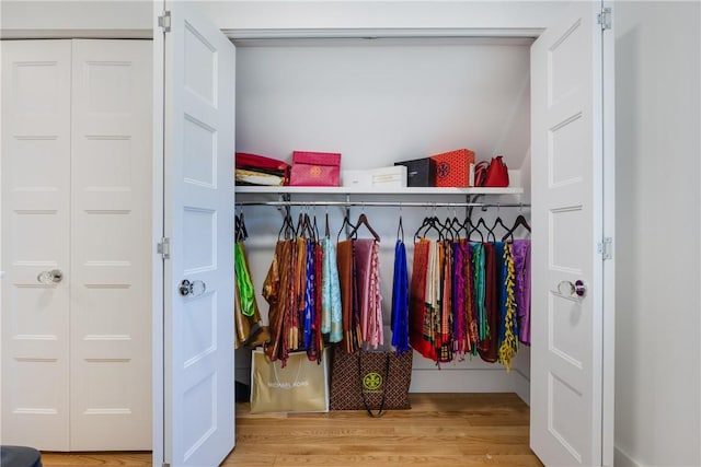 313 Wexford Ln, Horseheads, NY 14845 - view of closet