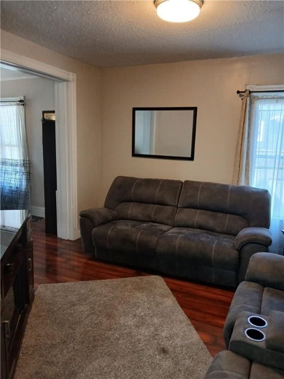 living area featuring dark wood finished floors and a textured ceiling