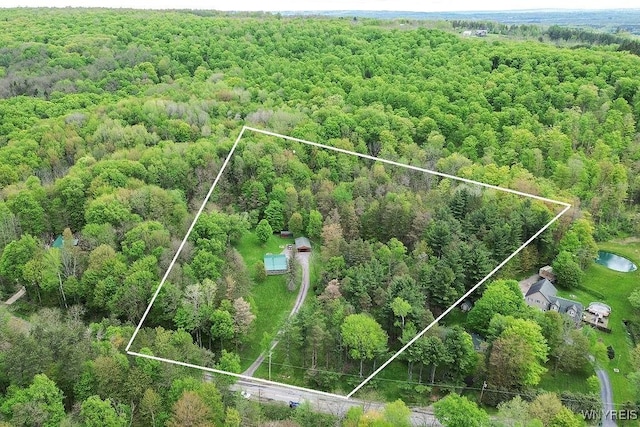 view of property location featuring a heavily wooded area and property parcel outlined
