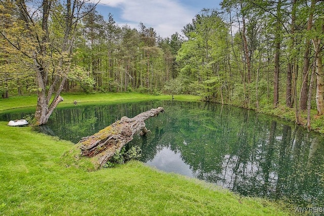 water view featuring a heavily wooded area