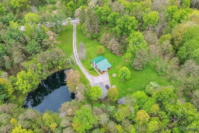 bird's eye view of a large body of water