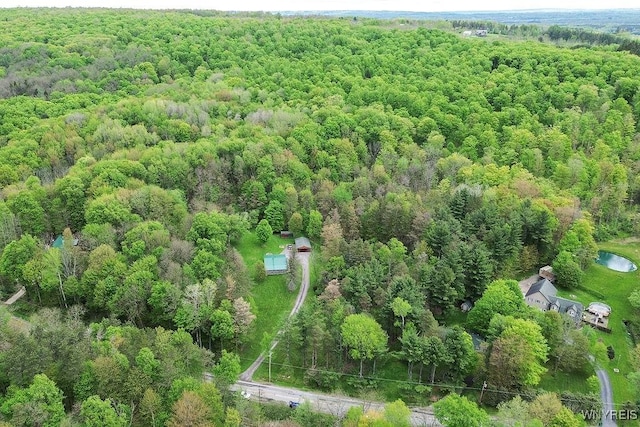 bird's eye view of a forest