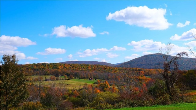 mountain view featuring a heavily wooded area