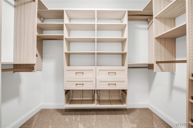 walk in closet with carpet floors