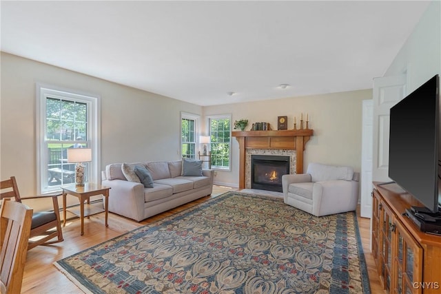 4268 Colorado Run, Onondaga, NY 13215 - living room with light wood-style flooring and a premium fireplace