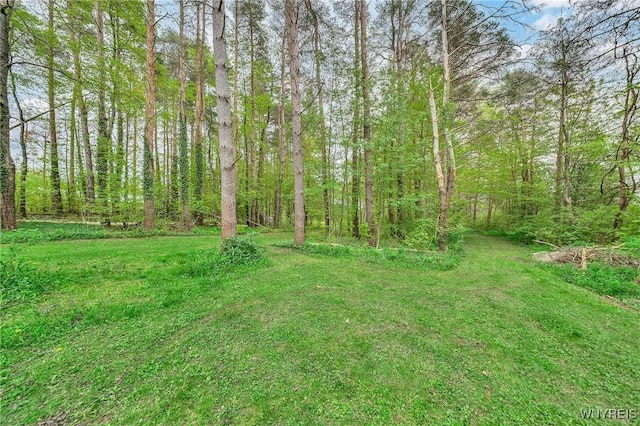 11965 Clinton St, Marilla, NY 14004 - view of green lawn featuring a forest view