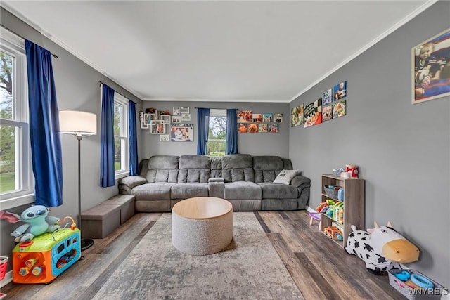 11965 Clinton St, Marilla, NY 14004 - living room featuring wood finished floors and ornamental molding