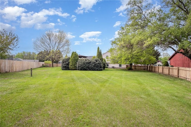 view of yard