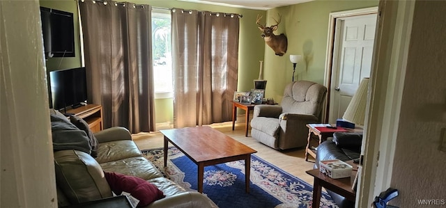 12866 Genesee Rd, Sardinia, NY 14030 - living room with wood finished floors
