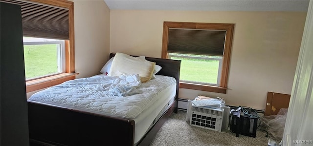 12866 Genesee Rd, Sardinia, NY 14030 - bedroom with carpet