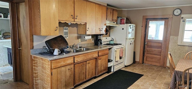 12866 Genesee Rd, Sardinia, NY 14030 - kitchen featuring white appliances, under cabinet range hood, light countertops, a sink, and crown molding