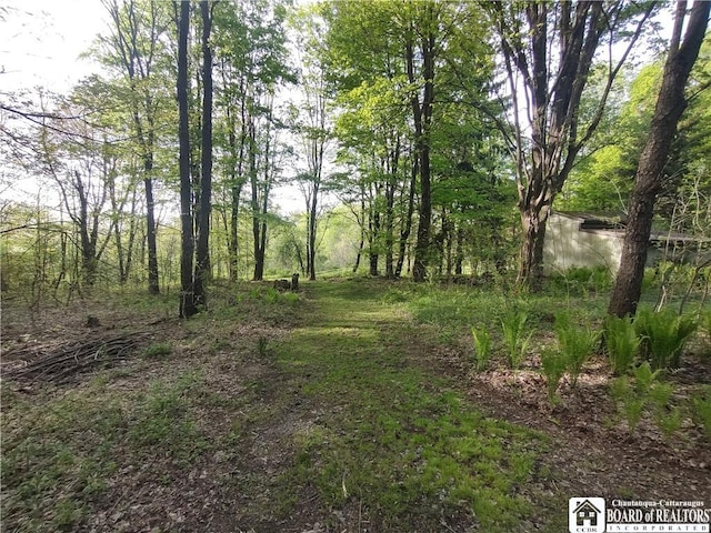 3450 Bard Rd, Arkwright, NY 14718