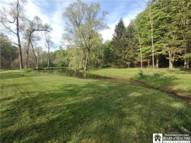 3450 Bard Rd, Arkwright, NY 14718