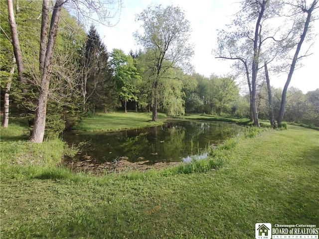 3450 Bard Rd, Arkwright, NY 14718
