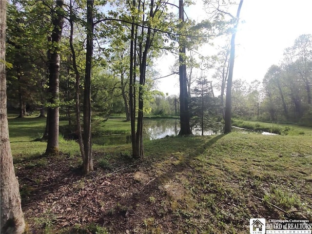 3450 Bard Rd, Arkwright, NY 14718