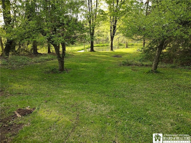 3450 Bard Rd, Arkwright, NY 14718