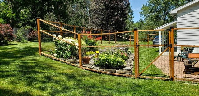 52 High St, Alfred, NY 14802 - view of yard with a vegetable garden