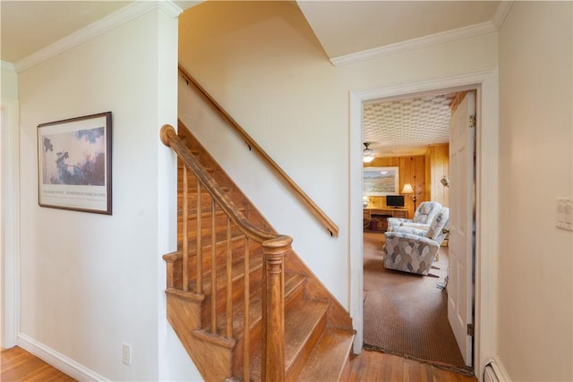 52 High St, Alfred, NY 14802 - staircase with wood finished floors, crown molding, and baseboards