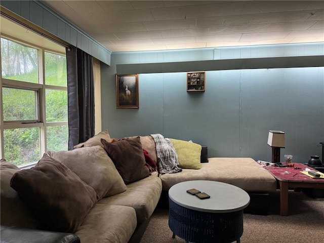 home theater with carpet