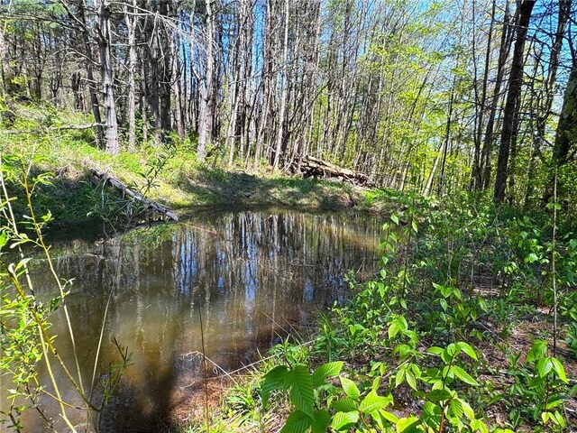 243 Haney Rd, Otego, NY 13825 - photo 6