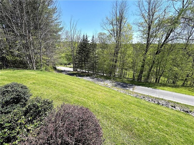 243 Haney Rd, Otego, NY 13825 - photo 7