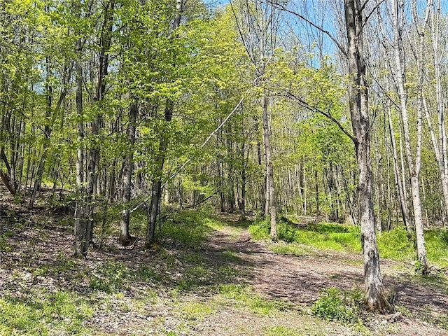 243 Haney Rd, Otego, NY 13825 - photo 8