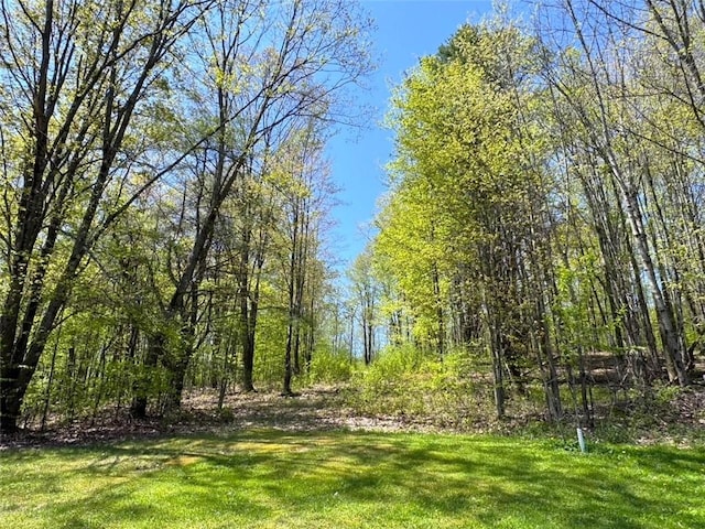 243 Haney Rd, Otego, NY 13825 - photo 25