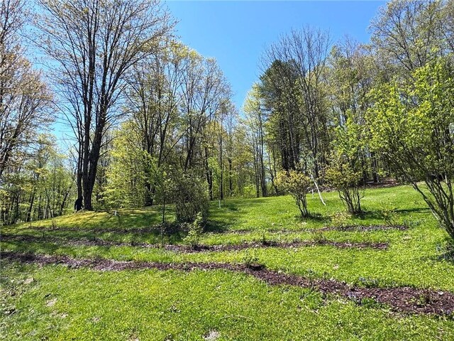 243 Haney Rd, Otego, NY 13825 - photo 27
