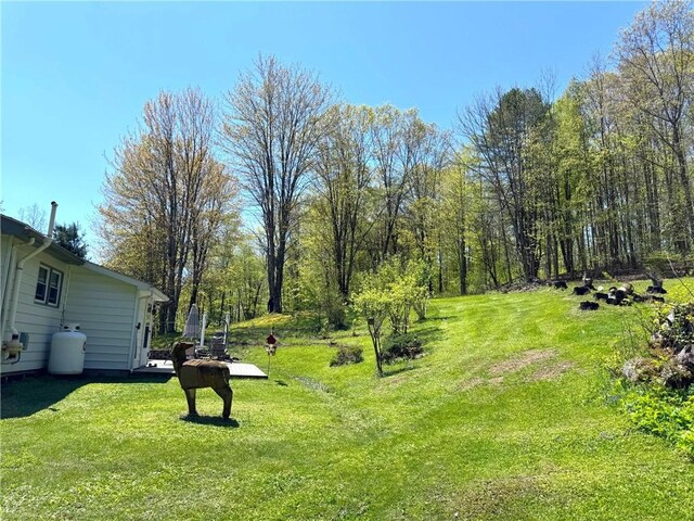 243 Haney Rd, Otego, NY 13825 - photo 28
