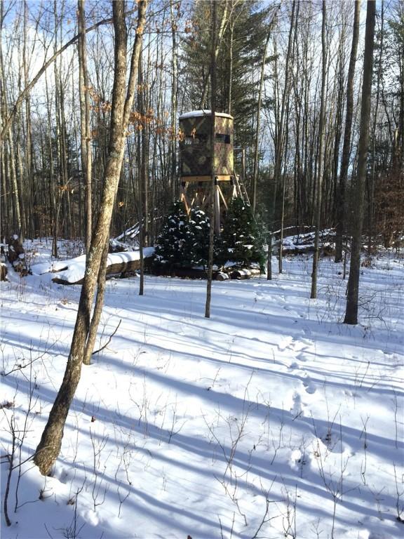 243 Haney Rd, Otego, NY 13825 - photo 33