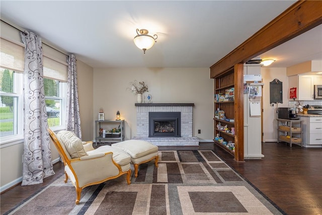 living room featuring dark wood-style floors and a fireplace