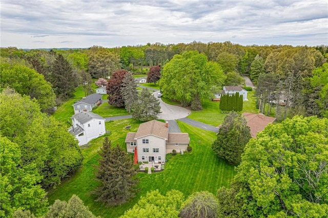 drone / aerial view of a forest
