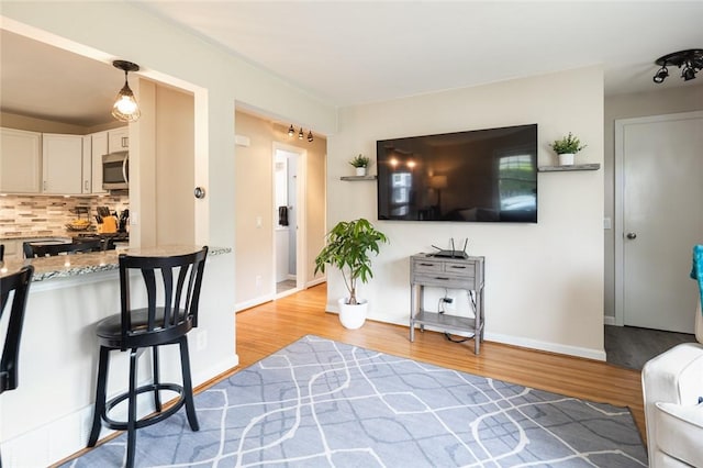 living room with light wood-style flooring