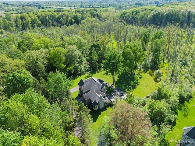 3750 Transit Rd, Orchard Park, NY 14127 - aerial view of property and surrounding area featuring a forest