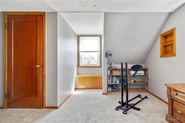 50 Princeton Ct, Cheektowaga, NY 14225 - photo 29