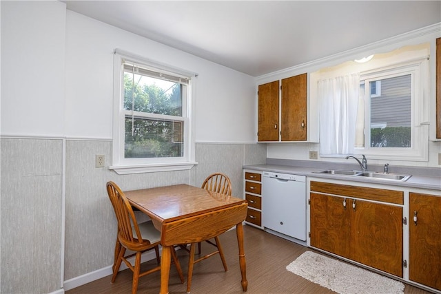 kitchen with white dishwasher, a sink, a wainscoted wall, light countertops, and brown cabinets