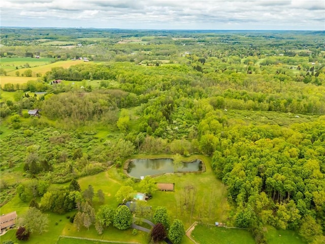 drone / aerial view of a large body of water and a heavily wooded area