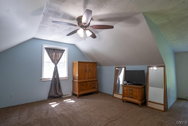 7735 Coates Rd N, Trenton, NY 13354 - bonus room featuring carpet flooring, ceiling fan, lofted ceiling, and a textured ceiling