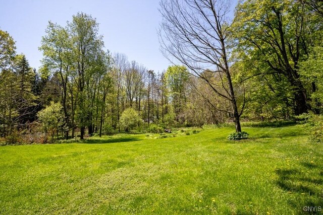 7735 Coates Rd N, Trenton, NY 13354 - view of grassy yard