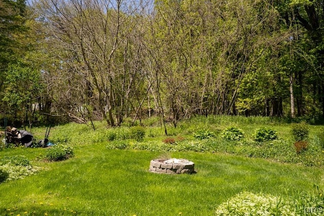 7735 Coates Rd N, Trenton, NY 13354 - view of yard featuring an outdoor fire pit