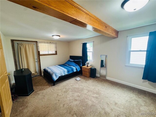15 Harris Ct, Cheektowaga, NY 14225 - photo 12