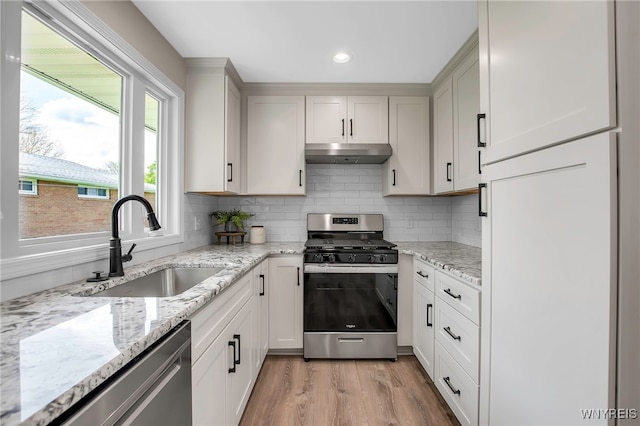 kitchen featuring stainless steel appliances, under cabinet range hood, a sink, light wood-style flooring, and tasteful backsplash